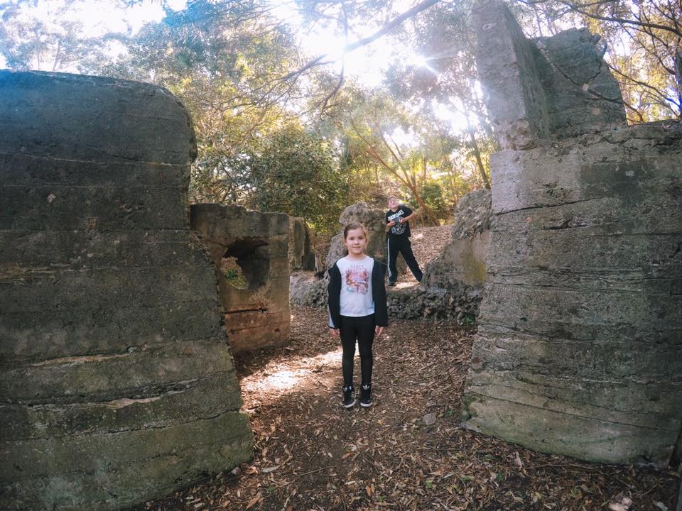 Exploring Sawmillers Reserve in McMahons Point : Uncovering Hidden Wonder in Sydney
