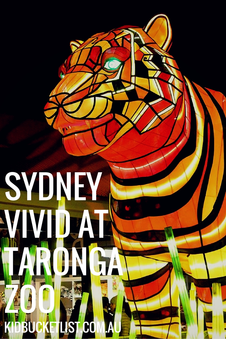 Vivid Sydney at Taronga Zoo : The Best Vivid Experience for Families