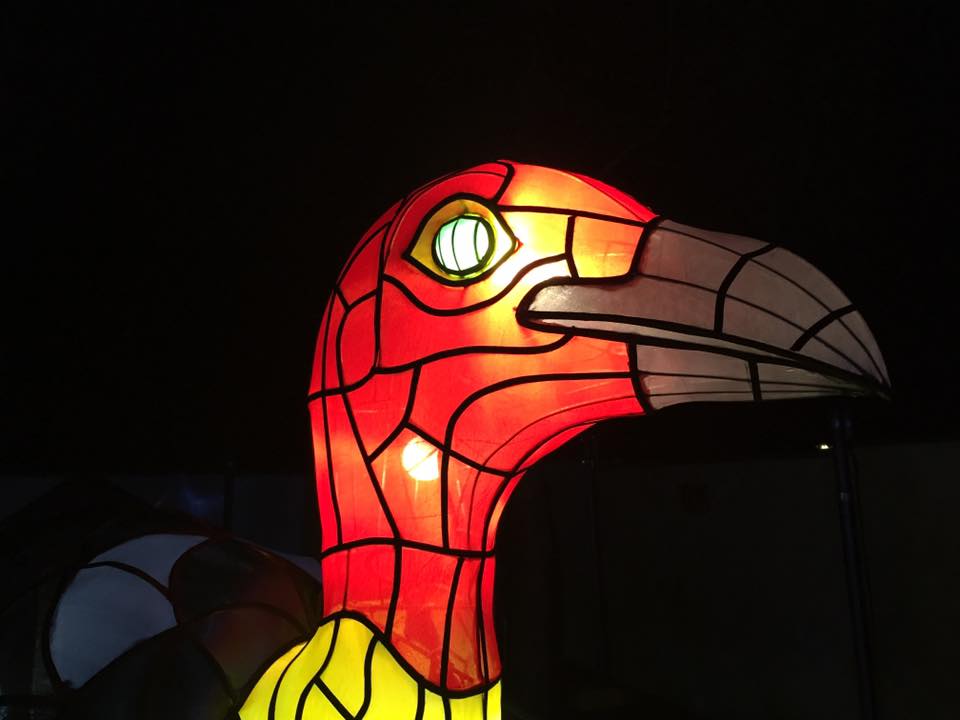 Vivid Sydney at Taronga Zoo - The Best Vivid Experience