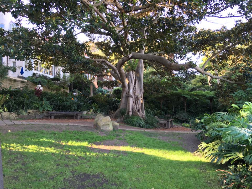 Wendy's Secret Garden : Uncovering Hidden Wonder in Sydney