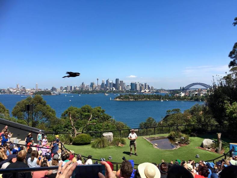 Taronga Zoo Keeper For A Day Program