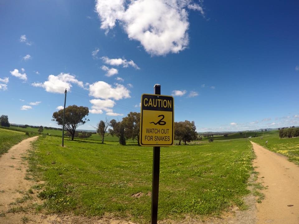 Cowra POW Camp : Walking the Footsteps of History