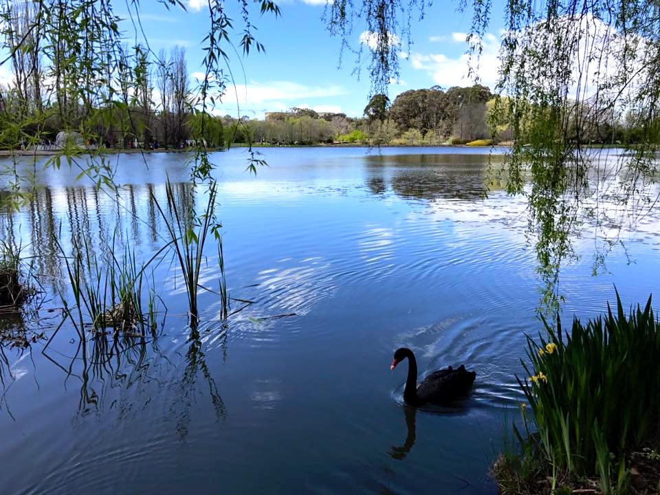 Floriade Canberra : More Than Just A Big Flower Festival