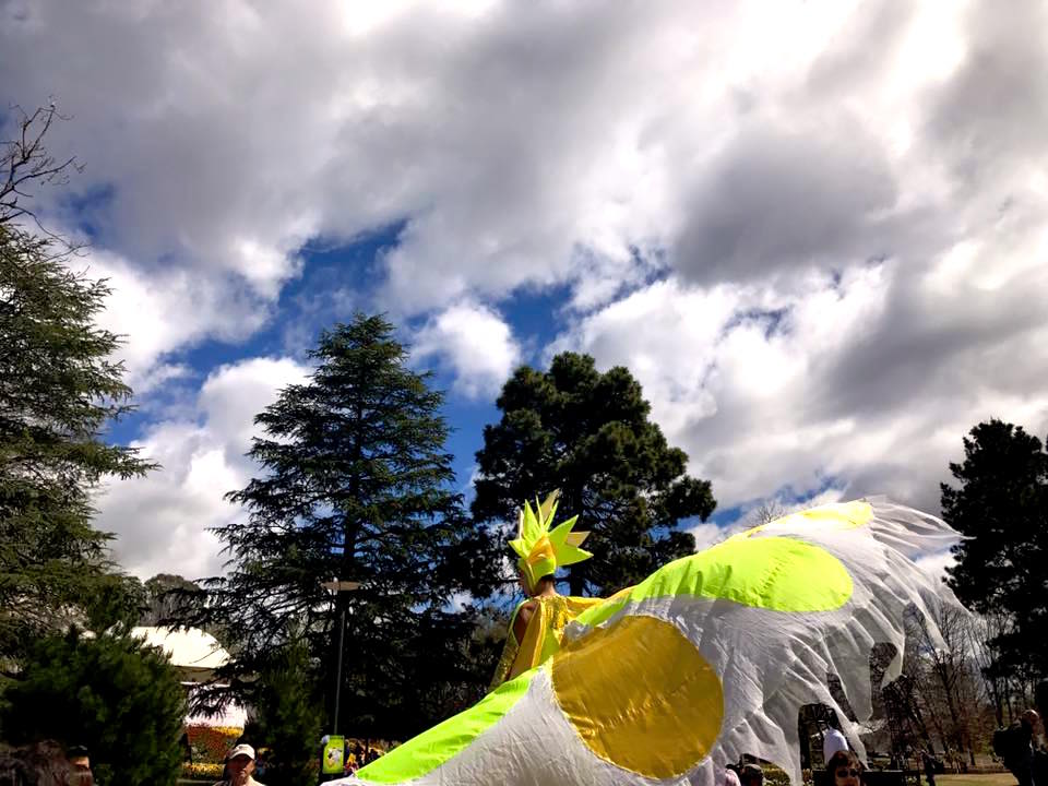 Floriade Canberra : More Than Just A Big Flower Festival