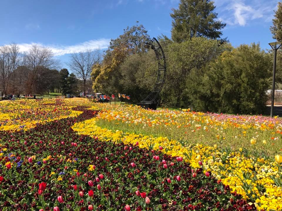 Floriade Canberra : More Than Just A Big Flower Festival