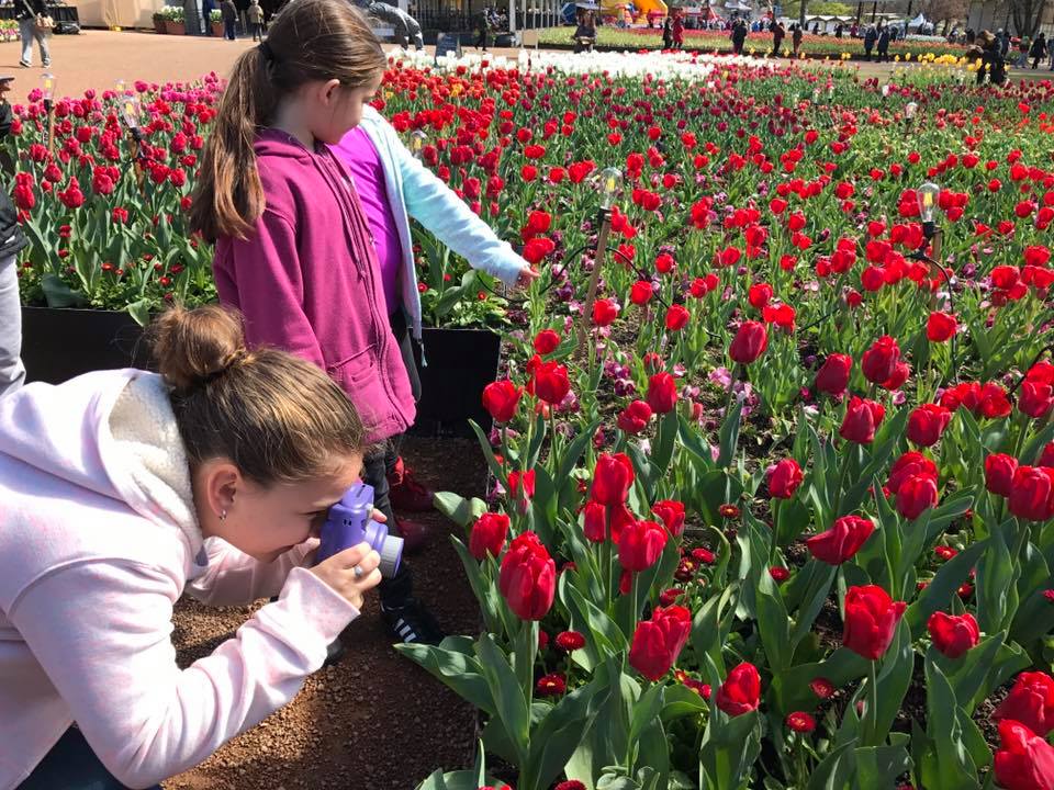 Floriade Canberra : More Than Just A Big Flower Festival