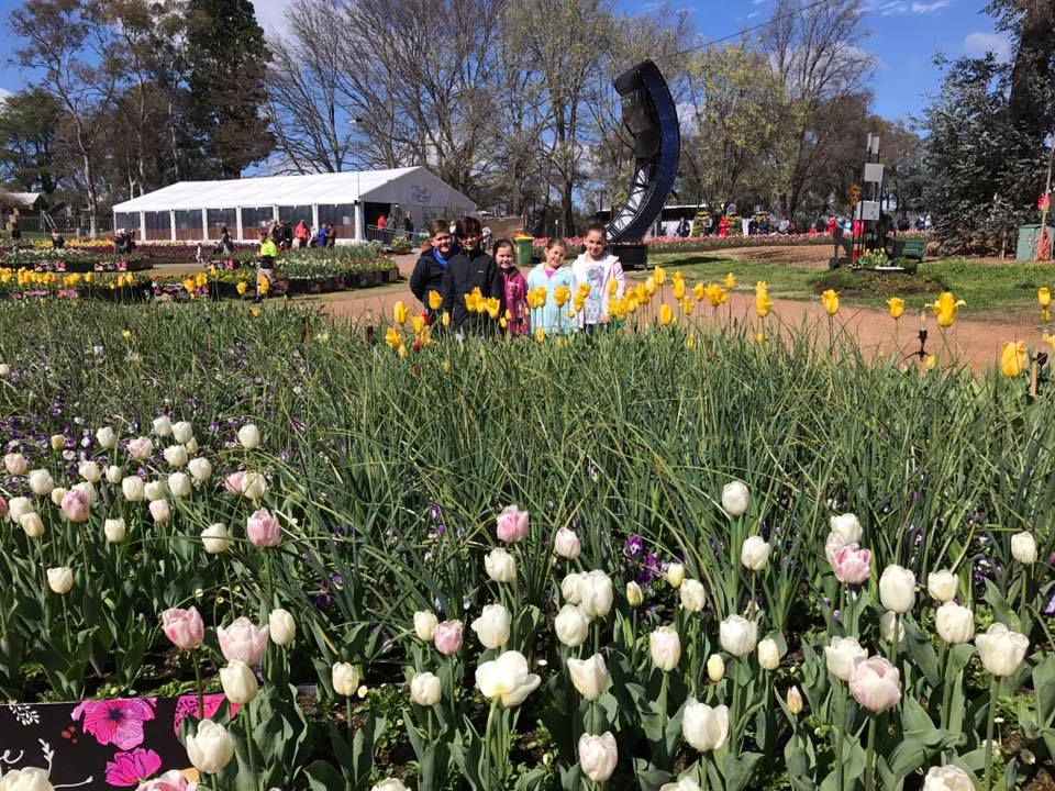 Floriade Canberra : More Than Just A Big Flower Festival