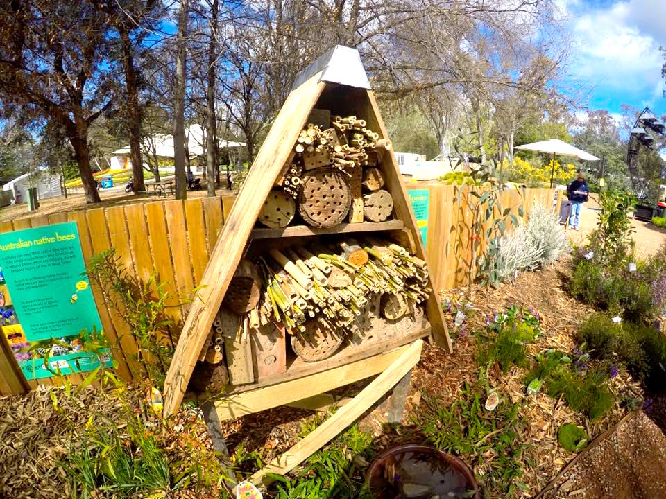 Floriade Canberra : More Than Just A Big Flower Festival