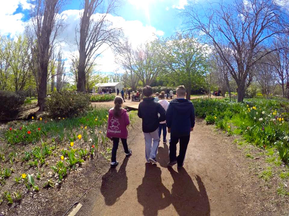 Floriade Canberra : More Than Just A Big Flower Festival