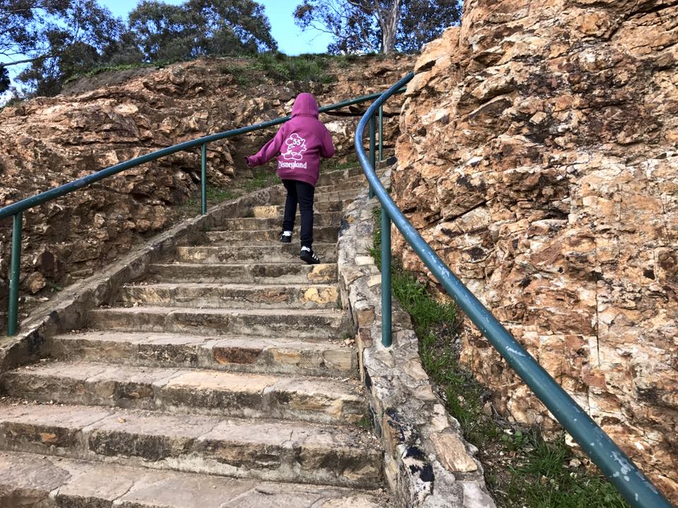 Mount Ainslie : The Best Free View Over Canberra