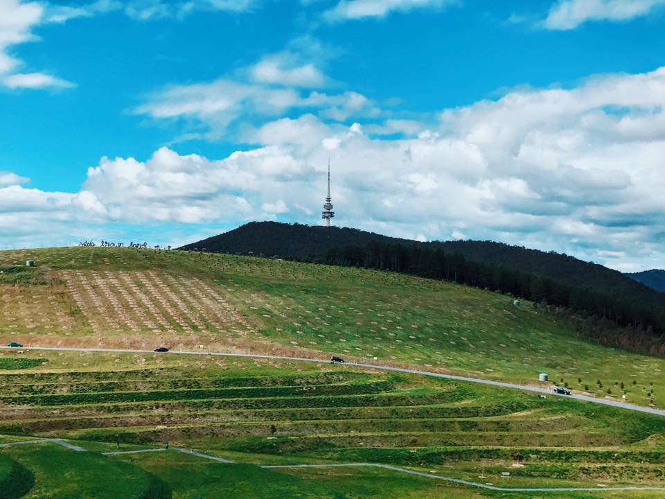 National Arboretum Pod Playground in Canberra : An Amazing Playspace for Kids