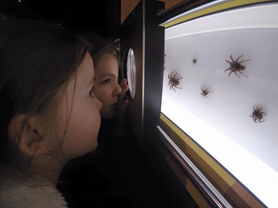 Questacon : Exploring The National Science and Technology Centre with Kids