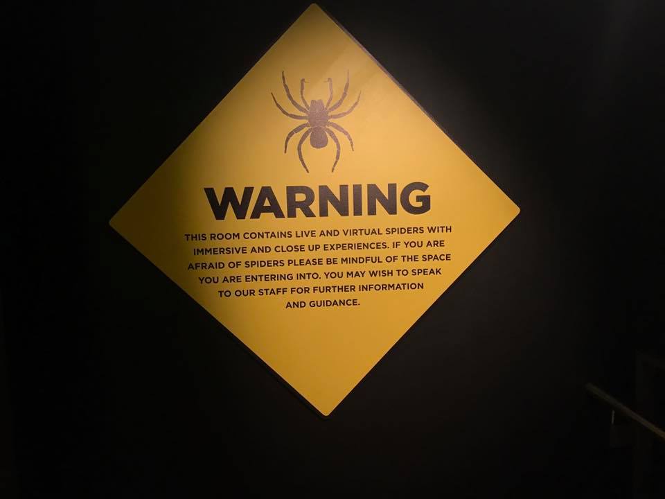 Spiders : Alive and Deadly - Learning About Arachnids at the Australian Museum