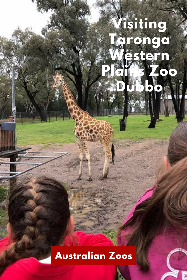 Visiting Taronga Western Plains Zoo Dubbo