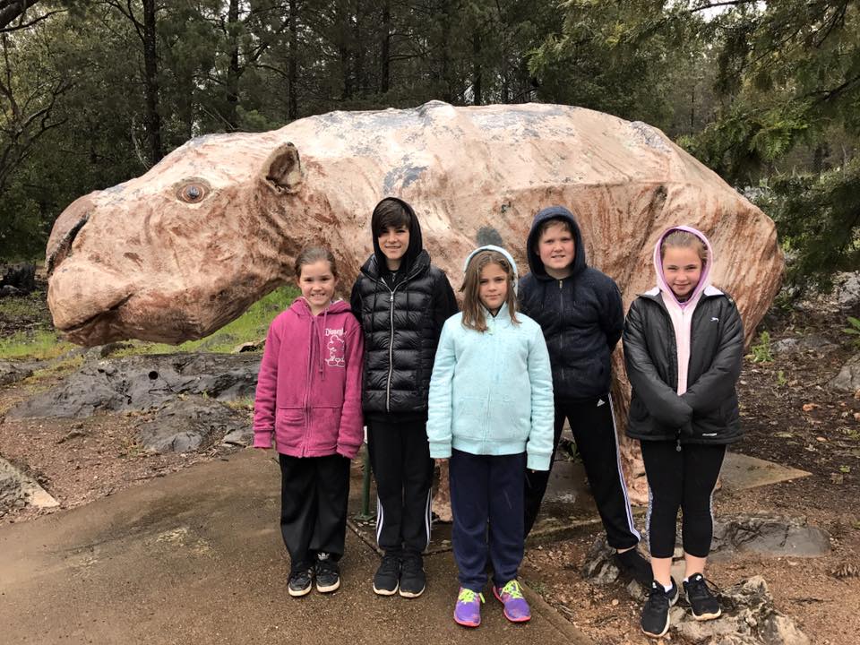 Wellington Caves with Kids