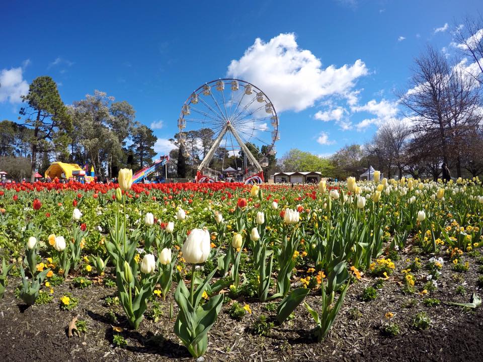 20 Things To Do In Canberra With Kids