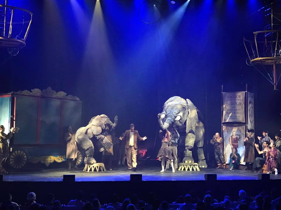 CIRCUS 1903 – The Golden Age of Circus : An Elephant Experience
