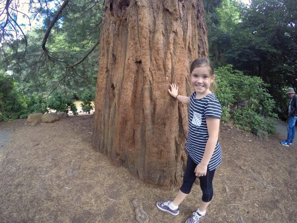 Launceston's Cataract Gorge with Kids