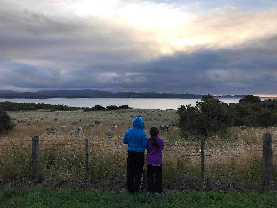 Low Head Penguin Tours With Kids