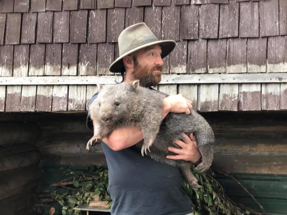 Trowunna Wildlife Park : Up Close with A Tasmanian Devil