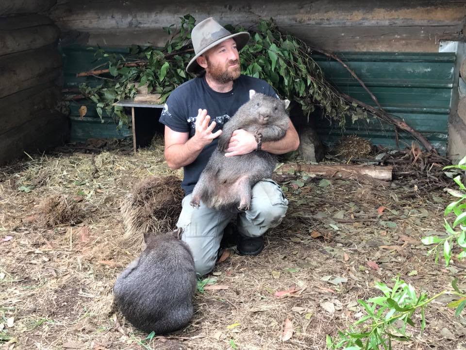 Trowunna Wildlife Park : Up Close with A Tasmanian Devil