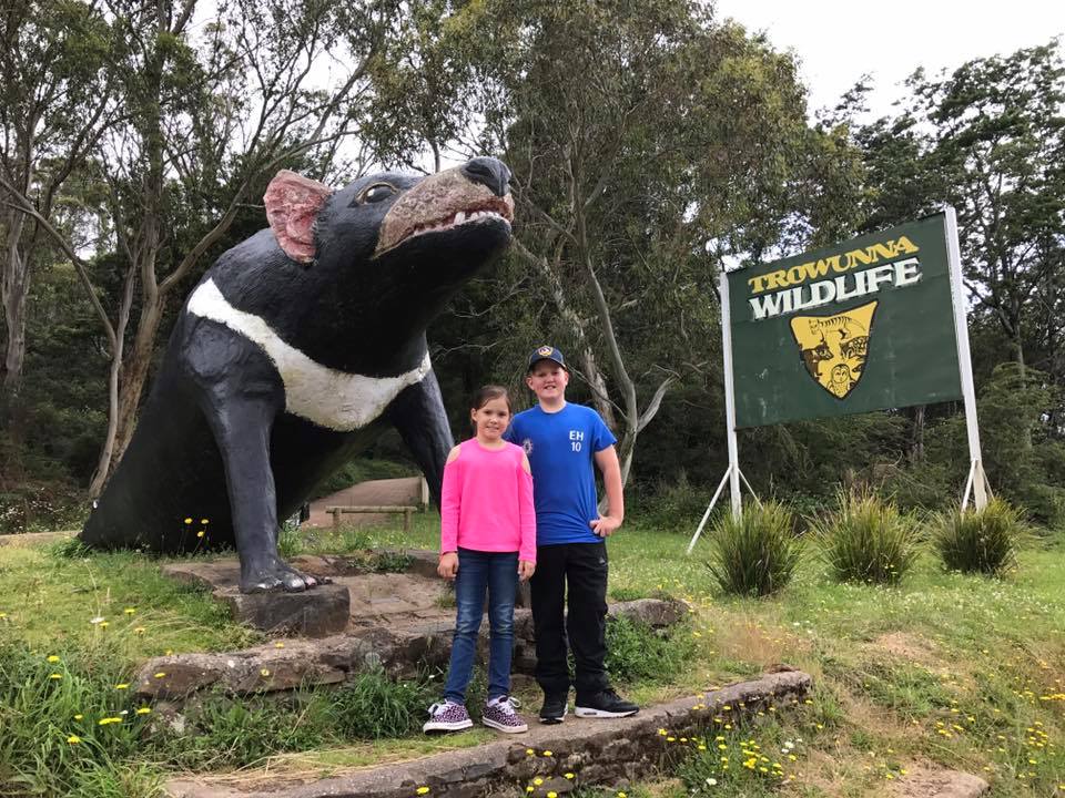 Trowunna Wildlife Park : Up Close with A Tasmanian Devil