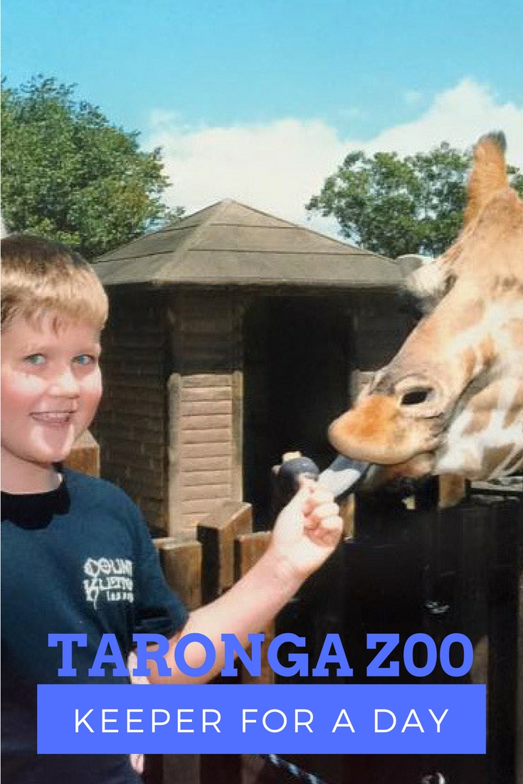 Taronga Zoo Keeper For A Day Program