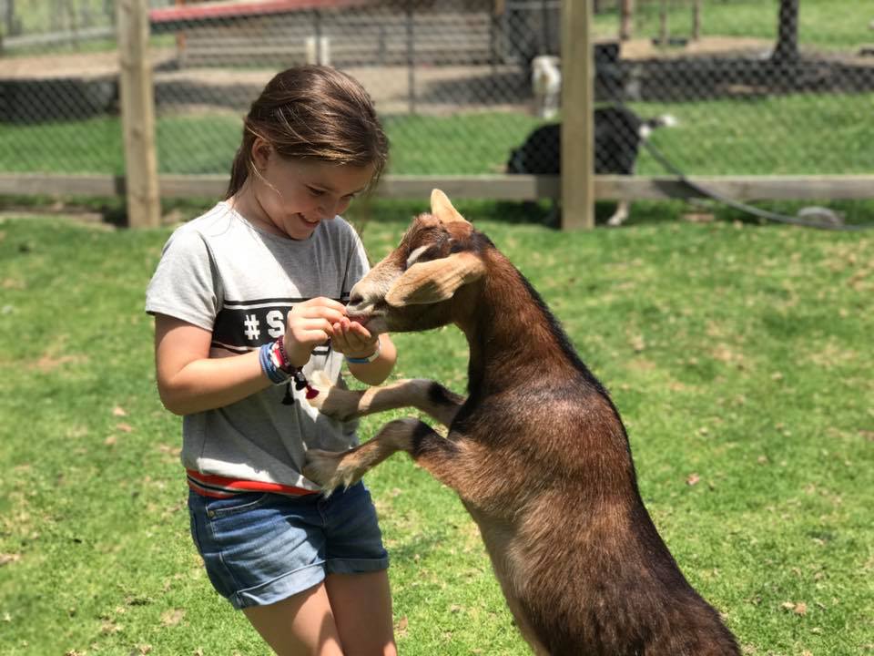 Amazement Farm and Fun Park : A Day Trip to Wyong