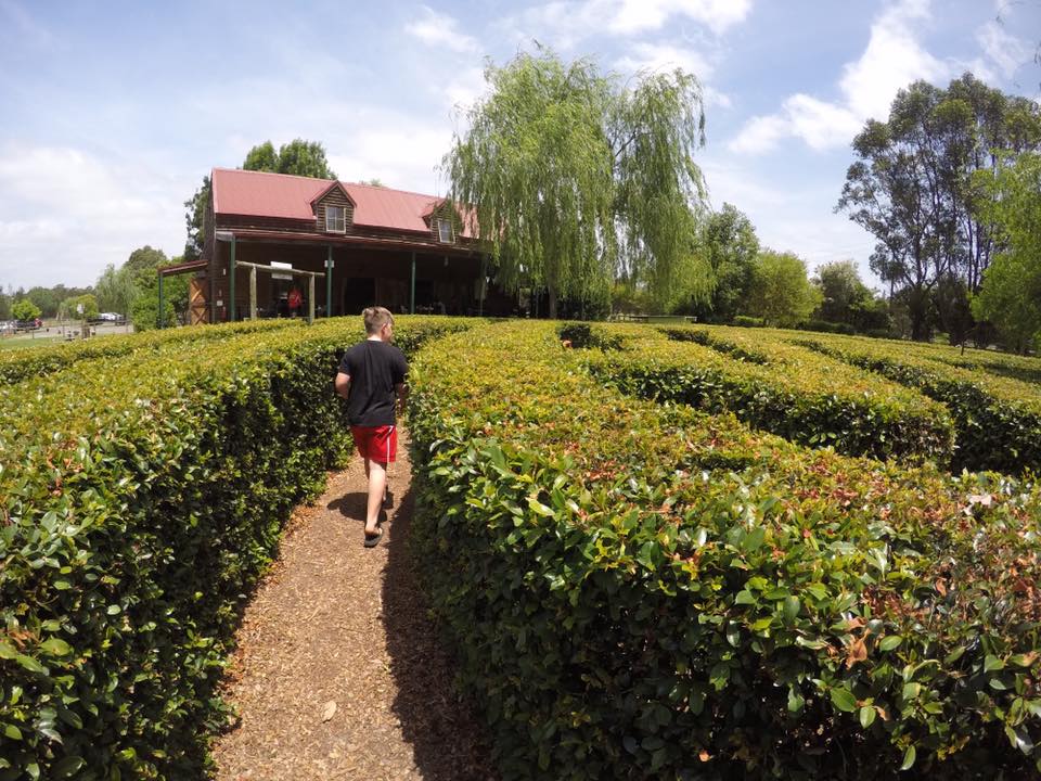 Amazement Farm and Fun Park : A Day Trip to Wyong