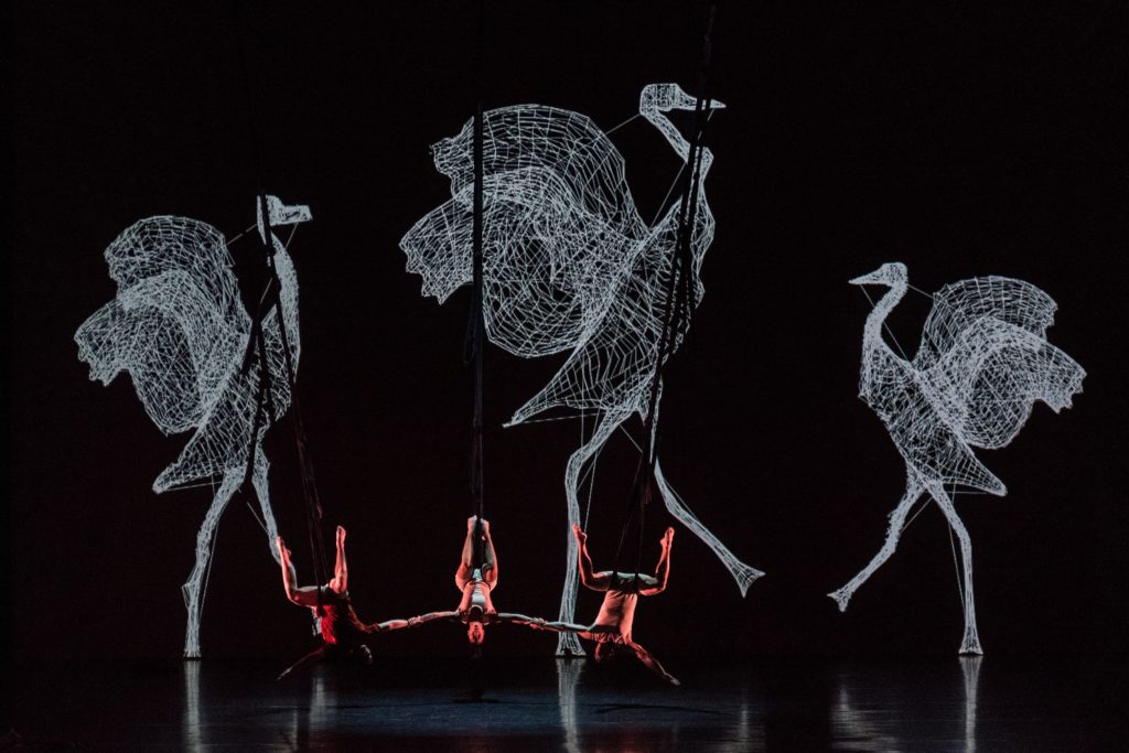 Dot and the Kangaroo A Theatrical Adaptation at the Sydney Opera House The Kid Bucket List