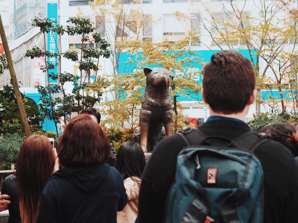 Hachiko : The Akita Who Waited Every Day