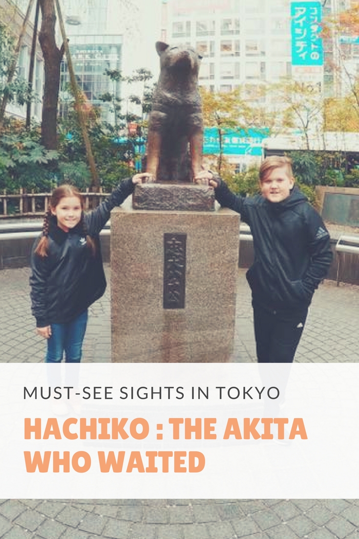 Hachiko : The Akita Who Waited Every Day