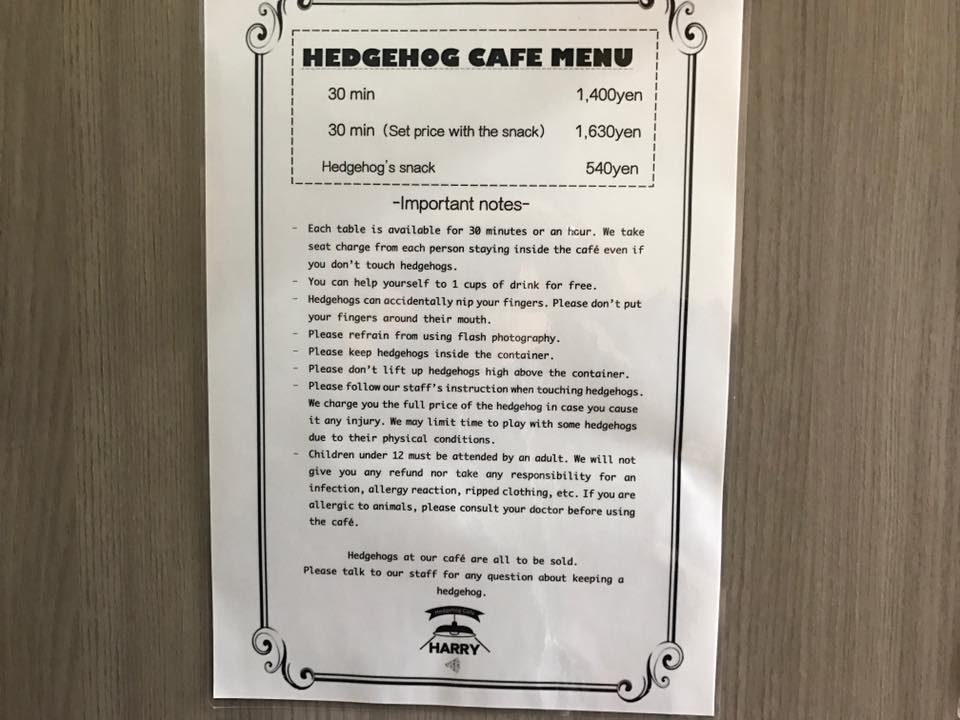 Harry Hedgehog Cafe Harajuku