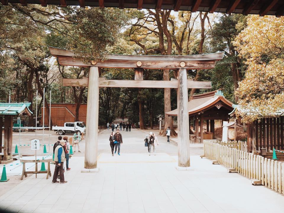Meiji Jingu Shrine : Visiting a Shinto Shrine with Kids