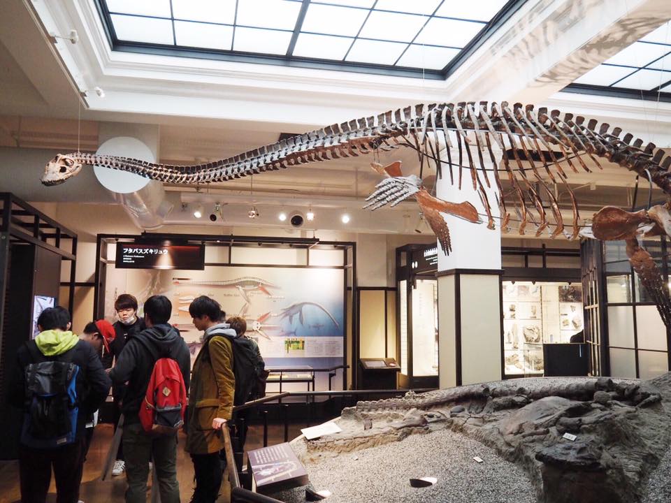 National Museum of Nature and Science Tokyo