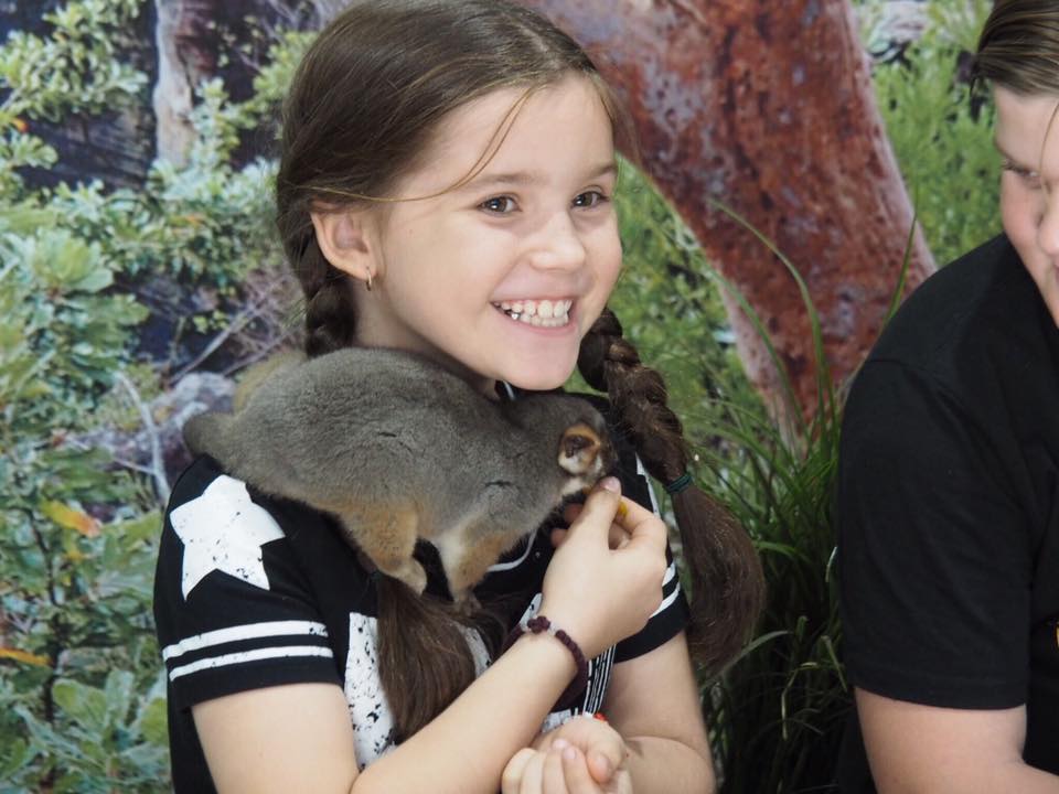 Featherdale Wildlife Park : A Private Animal Encounters Experience