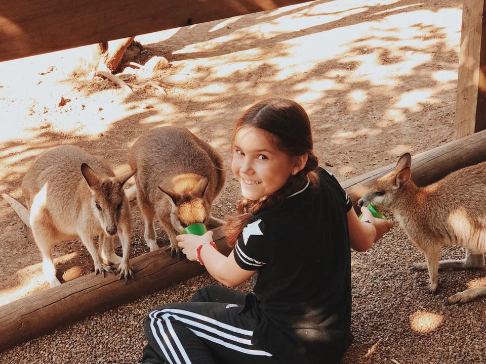 Featherdale Wildlife Park : A Private Animal Encounters Experience