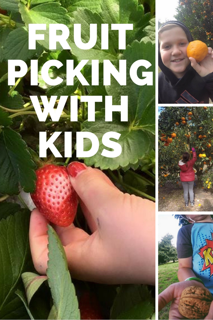 Fruit Picking With Kids : Where To Go Near Sydney