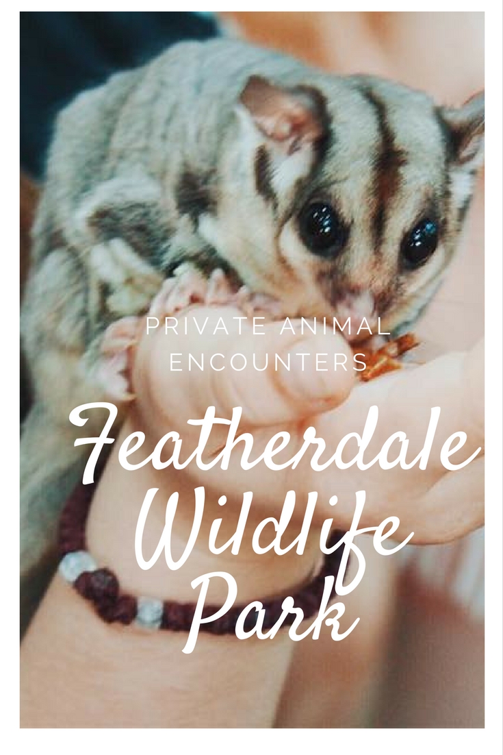 Featherdale Wildlife Park : A Private Animal Encounters