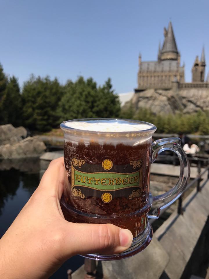 Universal Studios Japan with Kids : Harry Potter World