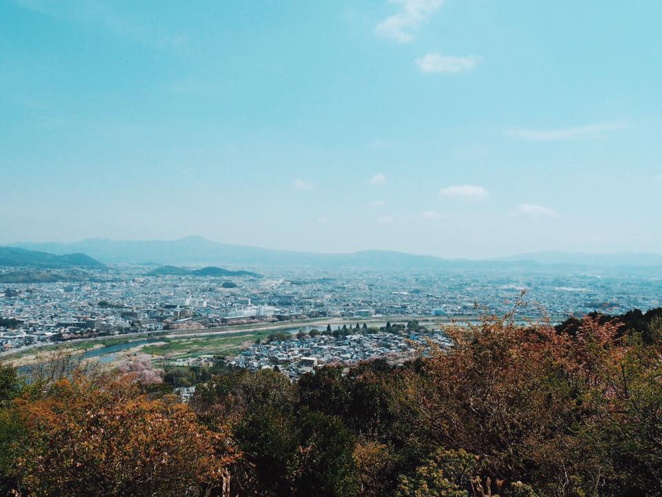 Visiting Iwatayama Monkey Park in Arashiyama Kyoto