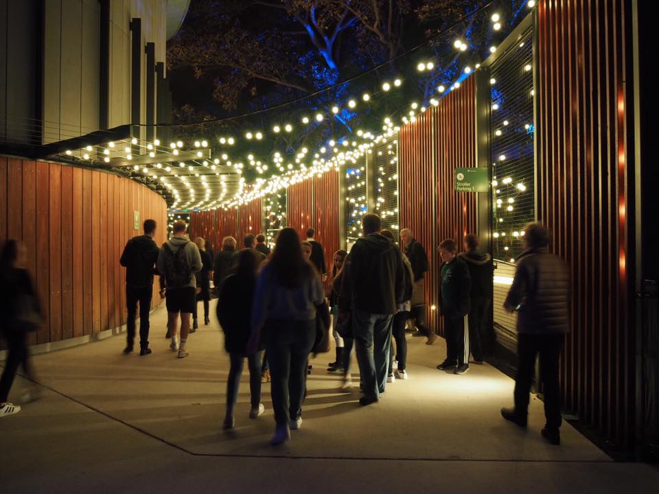 Vivid Sydney at Taronga Zoo