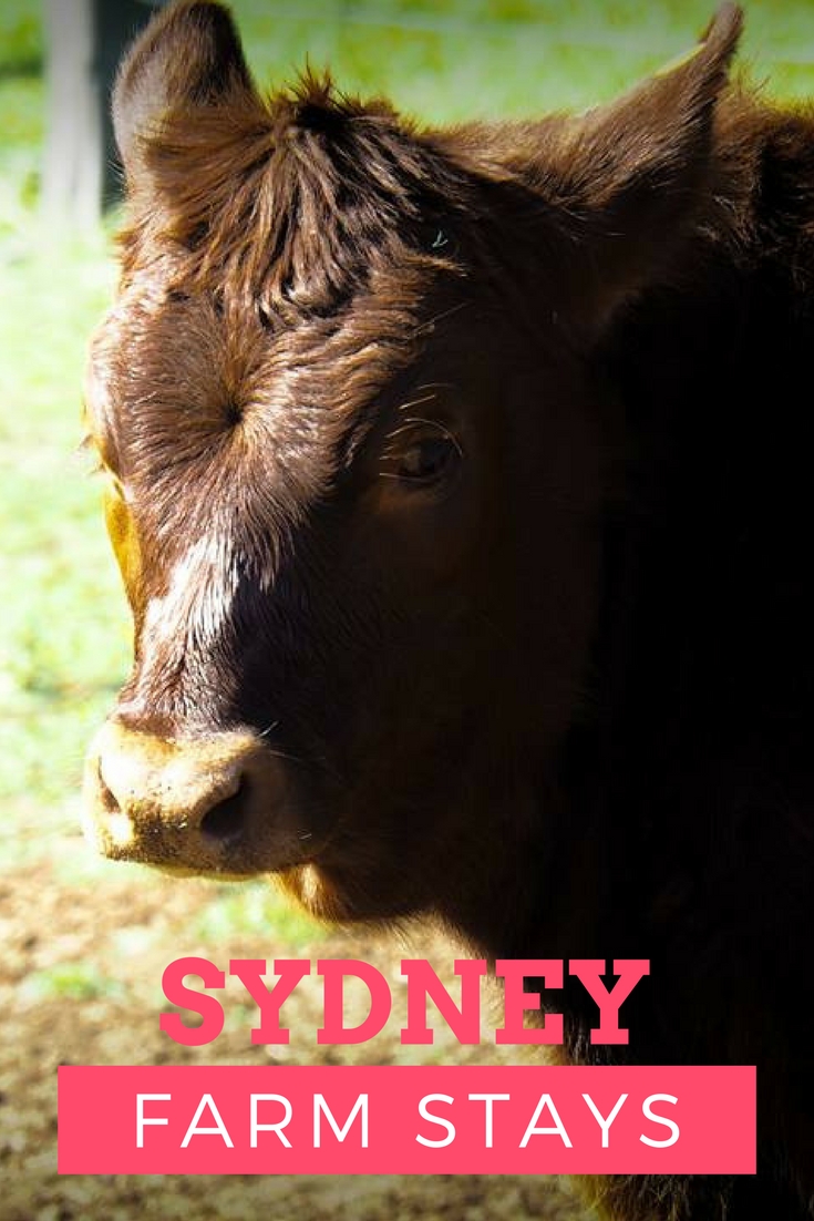 Farm Stays Near Sydney For a Family Getaway