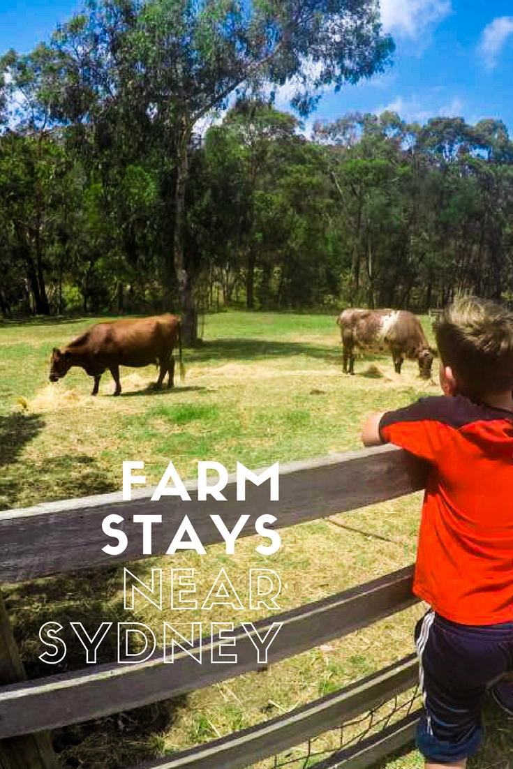 Farm Stays Near Sydney For a Family Getaway