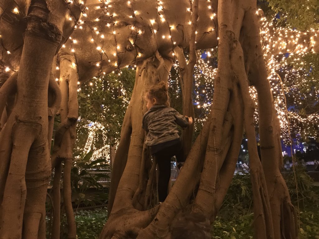10 Things To Do In Brisbane with Kids - The Kid Bucket List