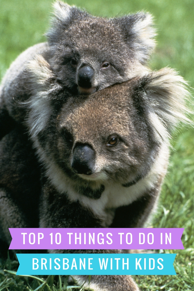 10 Things to do in Brisbane with kids