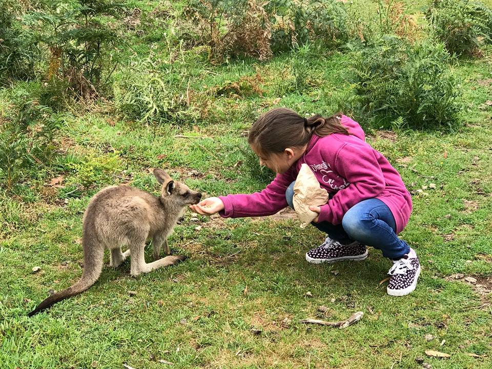 Trowunna Wildlife Park with kids