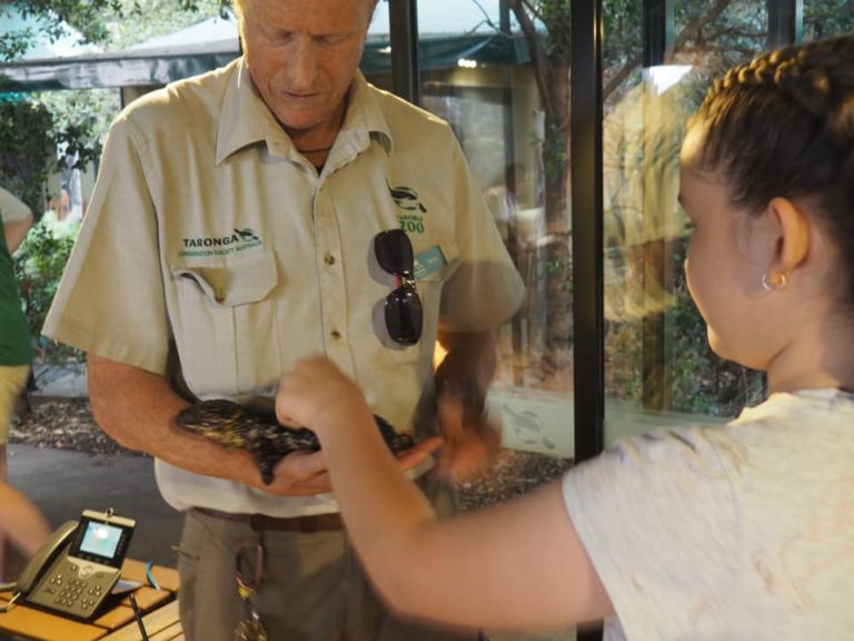 Sydney Animal Encounters : Animal Experiences For All Ages - The Kid