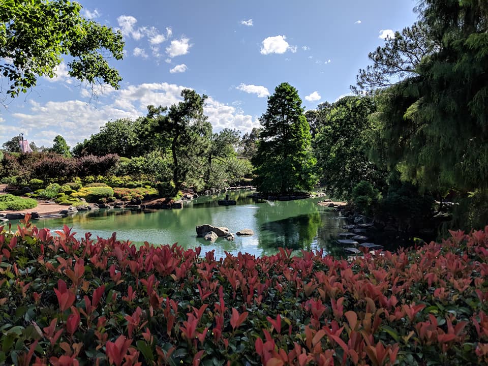 Auburn Botanic Gardens with Kids : Japanese Gardens in Sydney