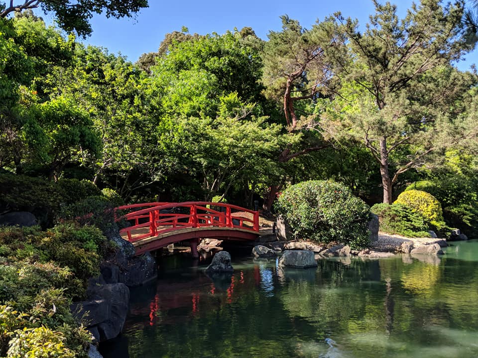 Japanese garden auburn botanic gardens auburn